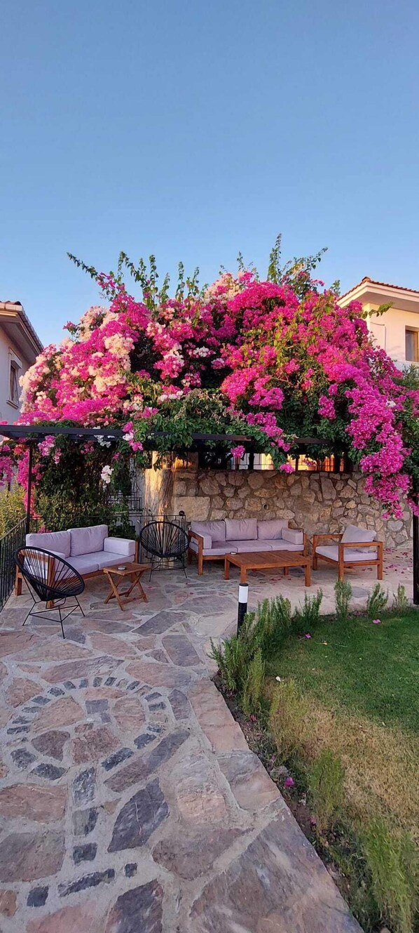 Exterior - Duru Stone House (Datça)