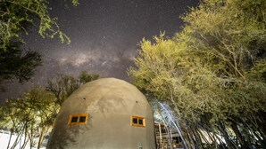 A dome-shaped building with two windows, surrounded by trees and a starry night sky. - Hotel Tantakuy Eco Experience (Pozo Almonte)