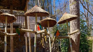 A bird sanctuary with wooden structures and thatched roofs, surrounded by trees and flowers. - Bright and Breezy Riverfront Chalet (Pigeon Forge)