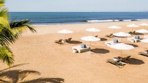A beach with white umbrellas and lounge chairs, palm trees, and the ocean in the background.