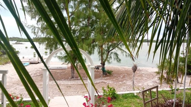 Une vue sur la plage avec une arche blanche, des palmiers et un bateau en arrière-plan.