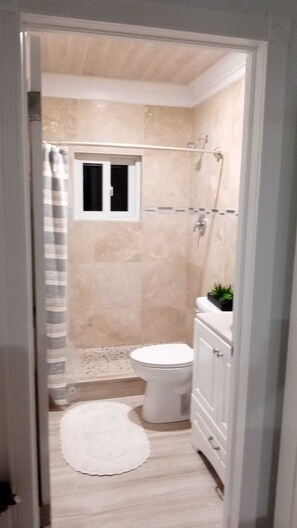 A bathroom with a shower, toilet, and a small potted plant. - Luxury Suites in Great Harbour Cay Bahamas, On the Bone Fish Grounds (Berry Islands)