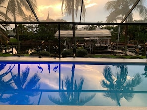 Relax by the serene pool surrounded by lush greenery and palm trees.