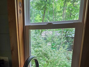 Une fenêtre donnant sur un jardin luxuriant et verdoyant.