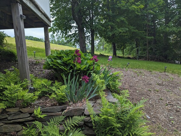 Property grounds - Cozy private country setting - 15 miles from Woodstock (Royalton)