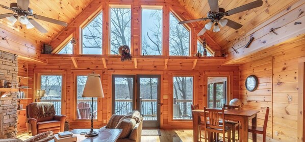 Smart TV, fireplace, video games, DVD player
