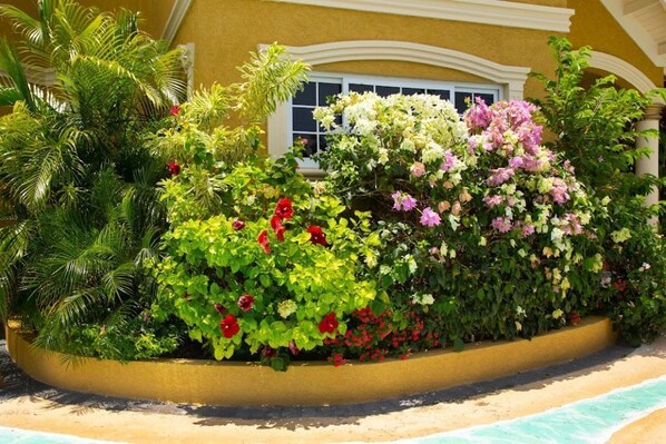 Exterior detail - The Best Poolside 2 Bedrooms Townhouse in Montego Bay (Montego Bay)