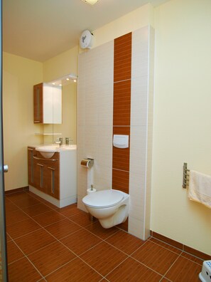 Shower, towels, soap, toilet paper