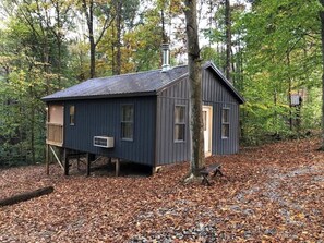 Eine Holzhütte mit Metall-Dach und einer Veranda.