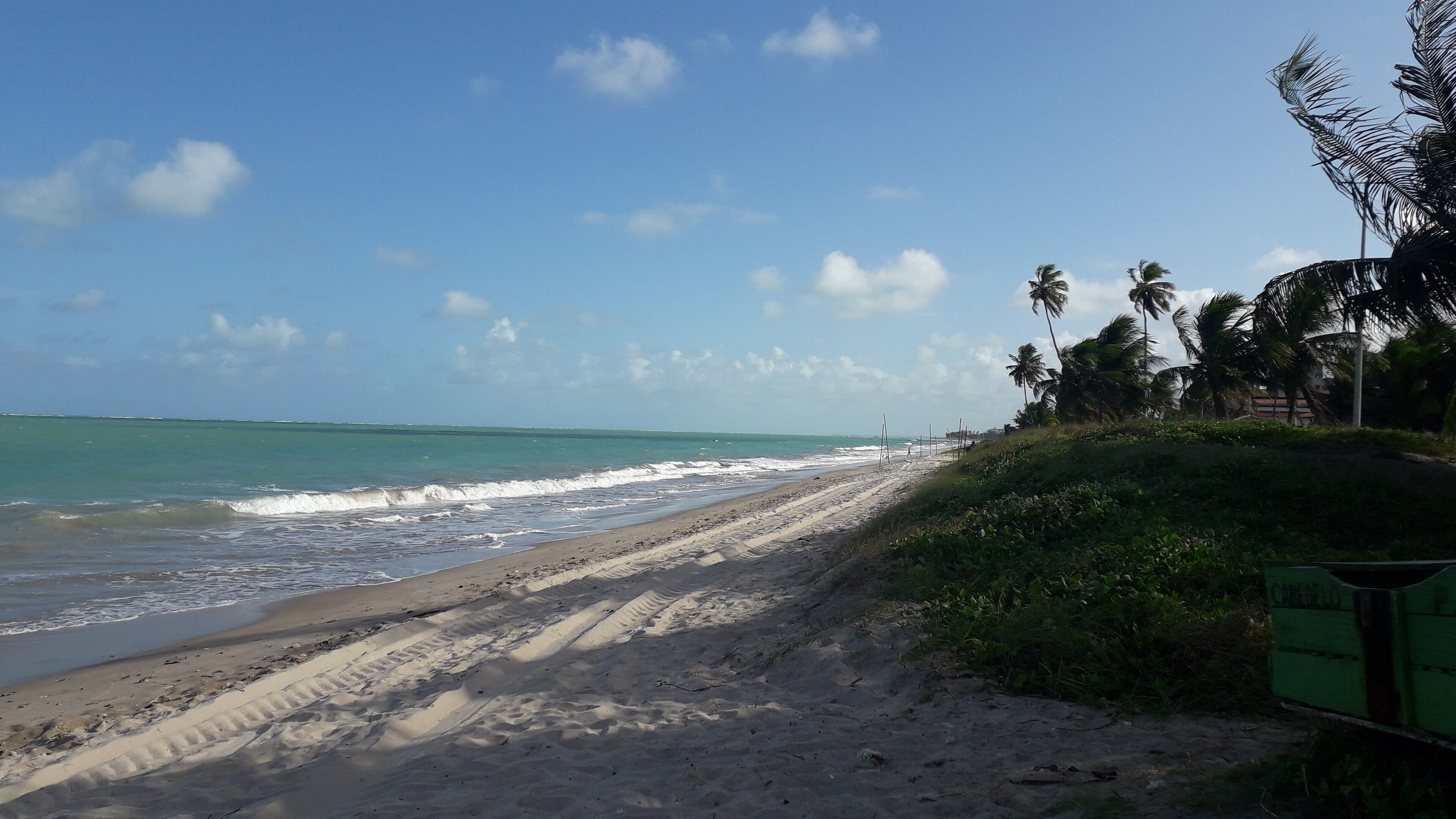 بالقرب من الشاطئ