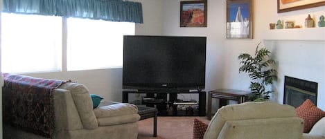 Televisión, chimenea y libros