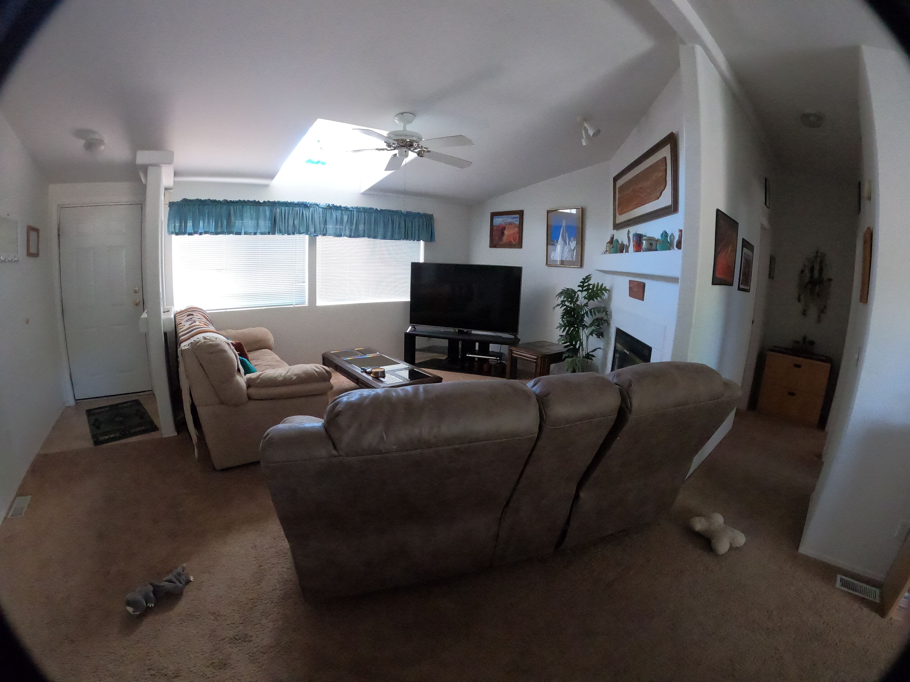 Smart TV, DVD player, books, video library