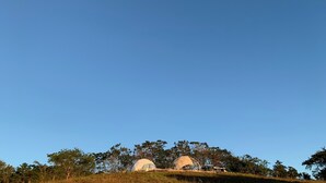 Two dome-shaped structures on a grassy hill with a clear blue sky. - Dome tent in beautiful countryside, 20 minutes from the beach (Santa Marta de Hojancha)