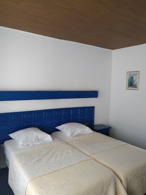 Habitación clásica con 2 camas individuales | Escritorio, wifi gratis y ropa de cama 