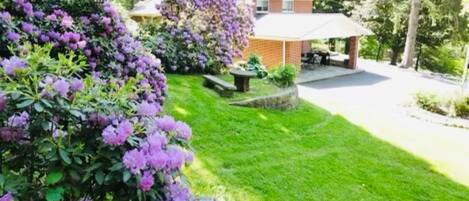 Overnattingsstedets uteområder