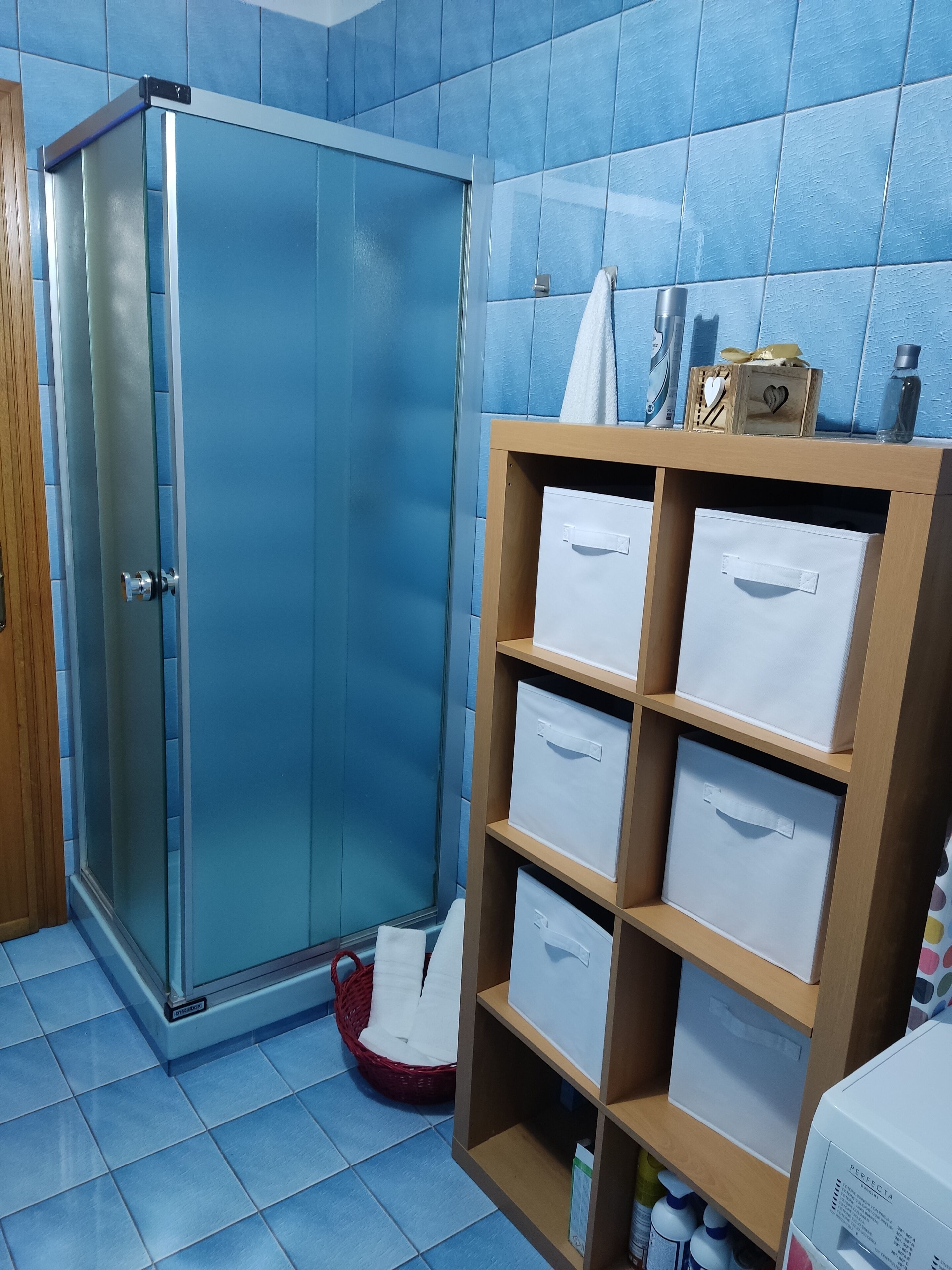 Bathtub, hair dryer, bidet, towels