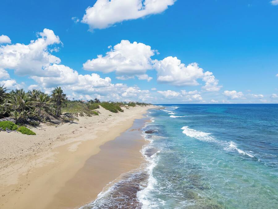 Beach