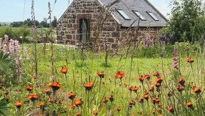 A stone building with a sloped roof and a small door, surrounded by a field of orange flowers and tall grasses. - 2 bedroom accommodation in Fettercairn (Fettercairn)