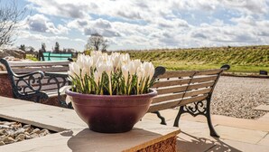 A bench with a purple pot of white flowers in front of it. - 2 bedroom accommodation in Fettercairn (Fettercairn)