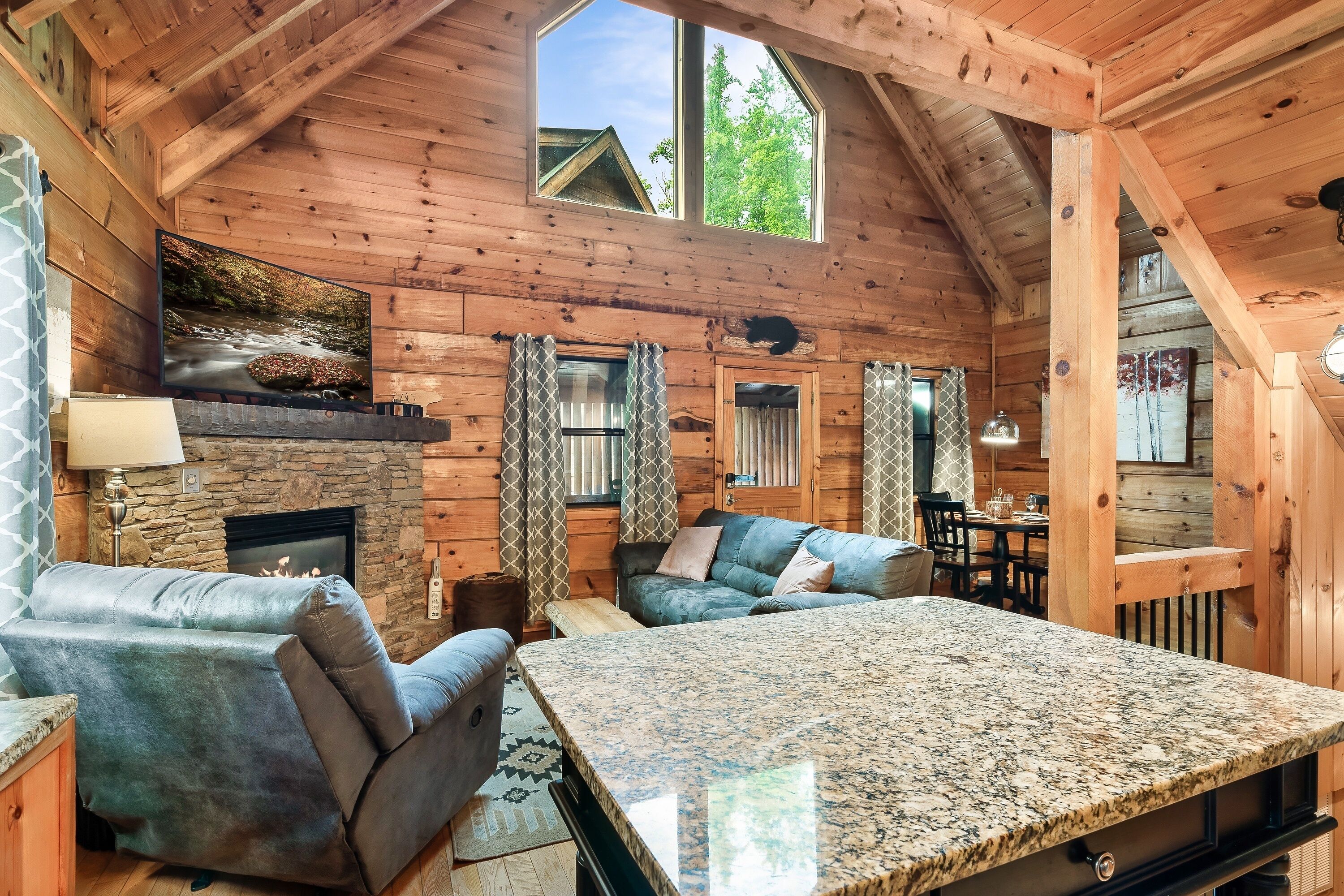 Smart TV, fireplace, video games, books
