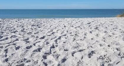 Little Gasparilla Island - Ocean View, Golf Cart, Ferry, Pool, Boat Dock