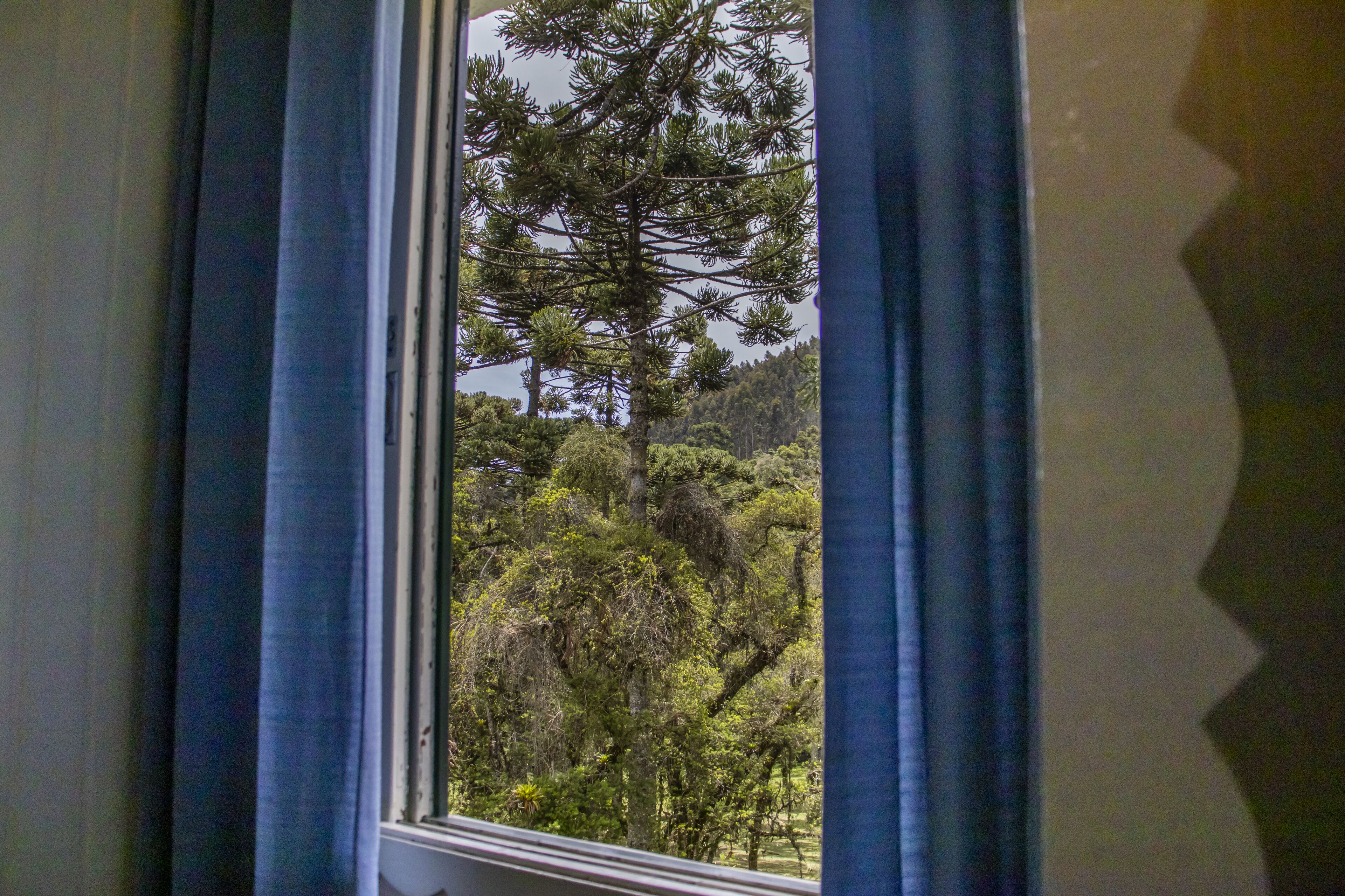 Photo - Green Village Hotel