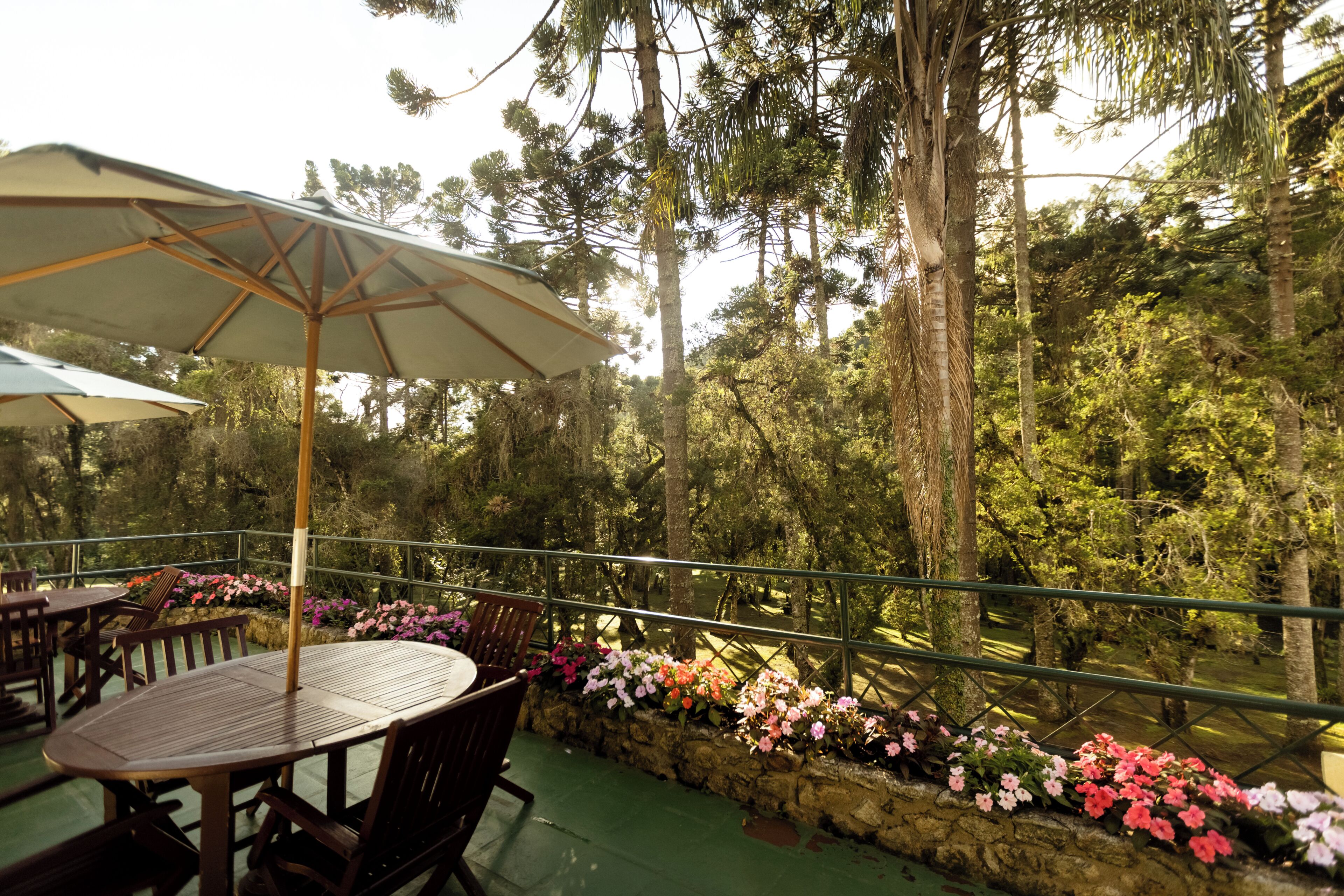 Foto - Green Village Hotel
