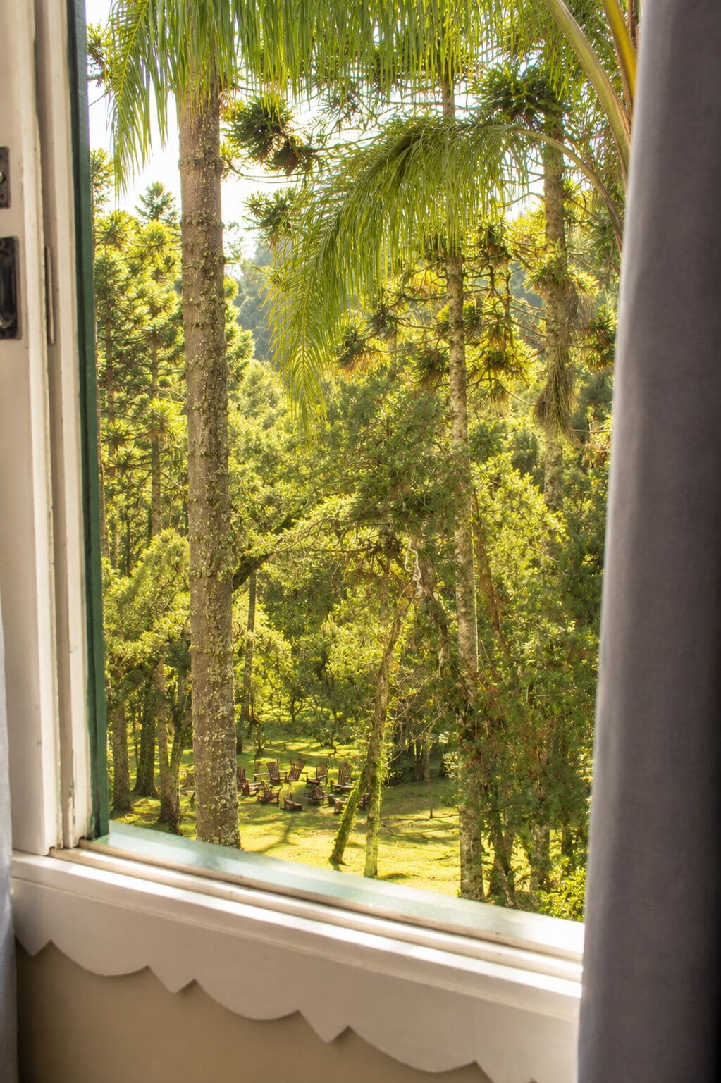 Blick aus dem Fenster auf einen üppigen Garten mit hohen Bäumen und einer Sitzgelegenheit.