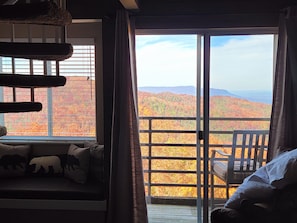 Smart TV, fireplace, video games, video library