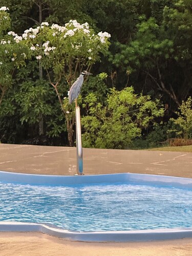 Time Flies is located on a safe/ friendly family island. Close to many beaches.