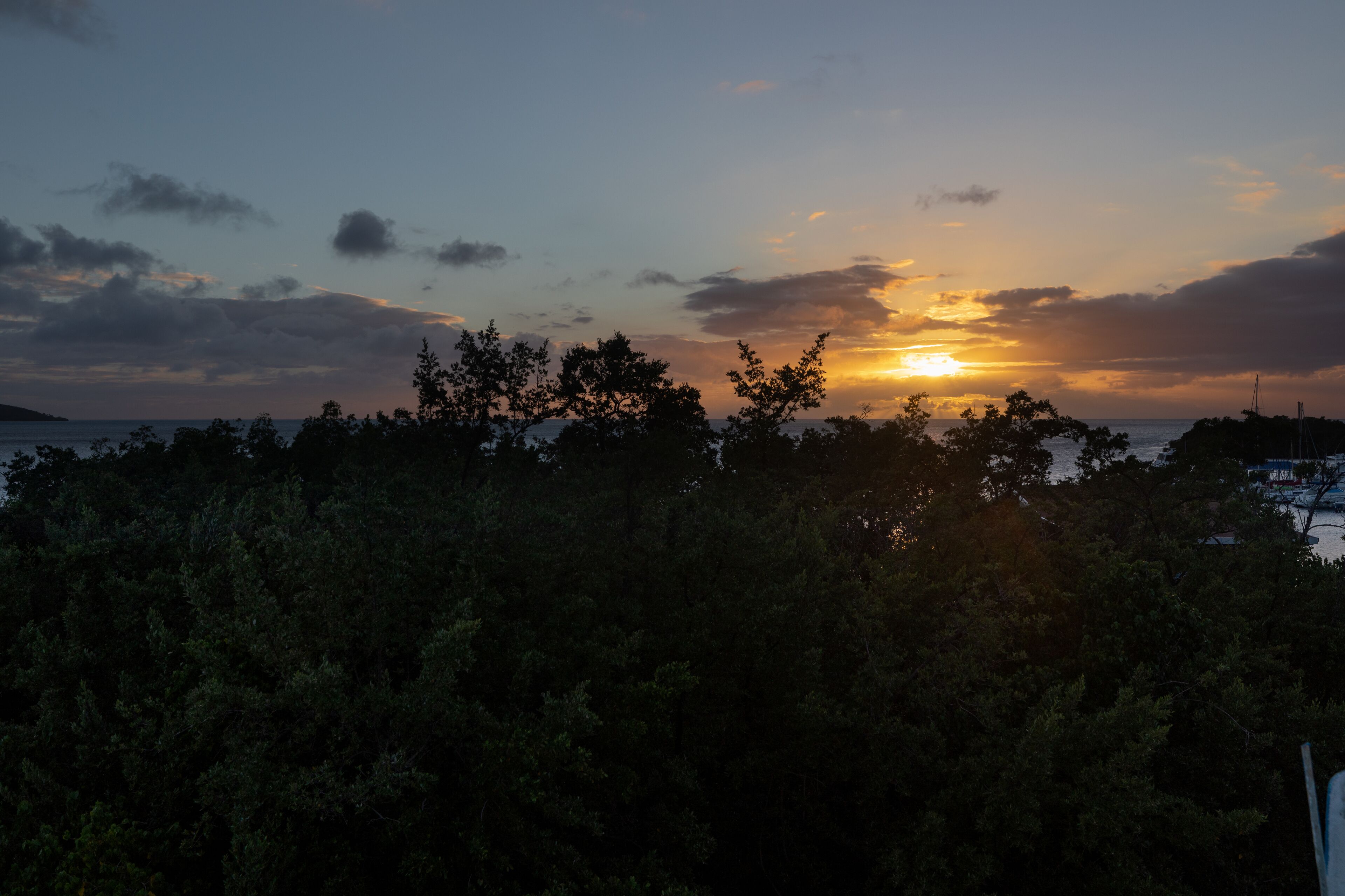 A sunset over a forested area with a view of the sea.