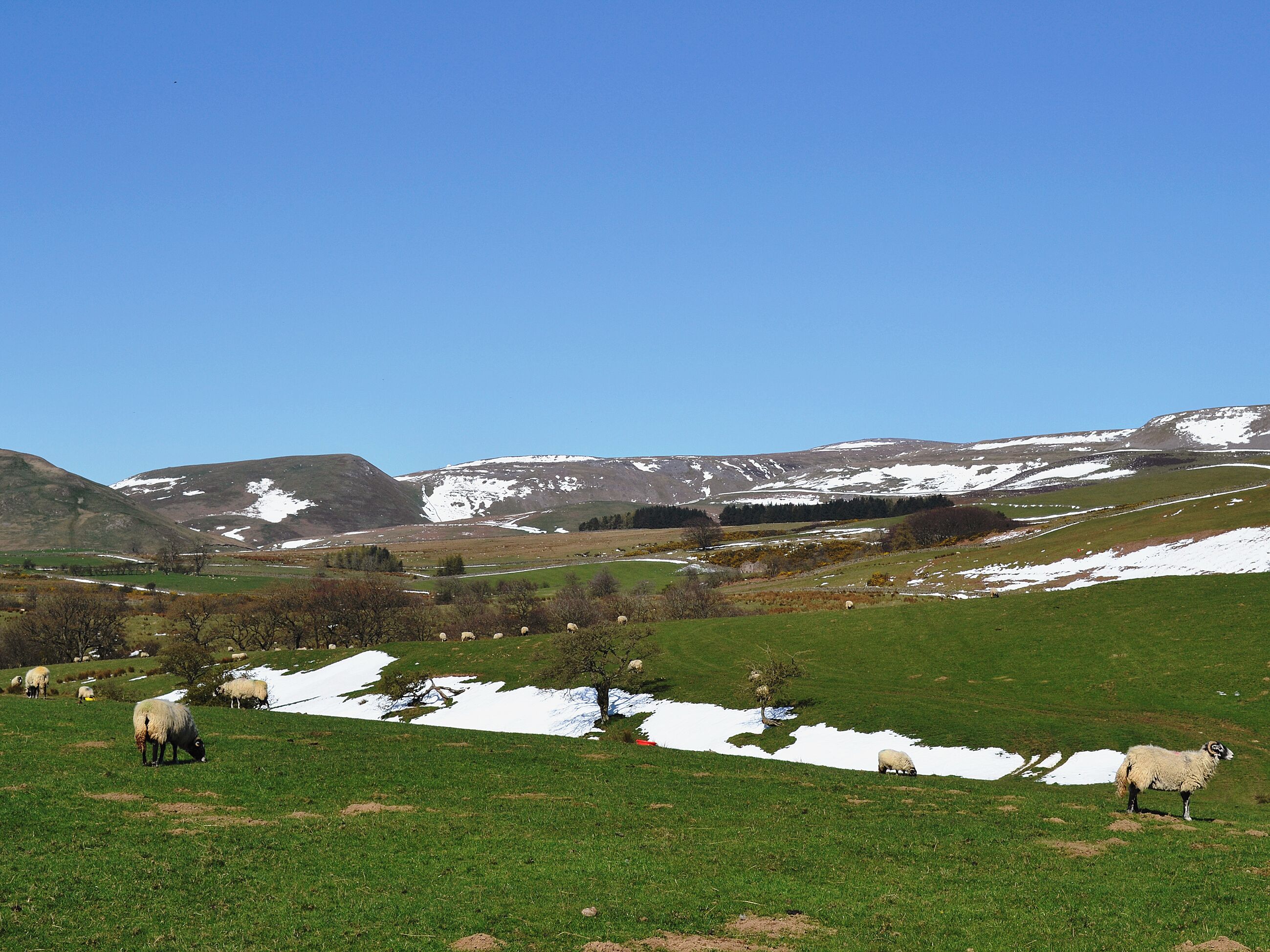 Paesaggio montuoso con campi verdi e chiazze di neve sparse.