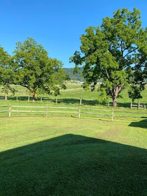 المنطقة المحيطة بالمنشأة