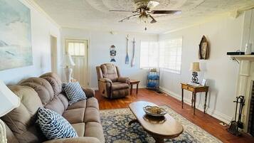 Smart TV, fireplace, books