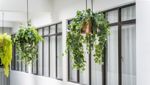 Un pasillo con plantas colgantes y ventanas amplias.