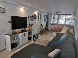TV