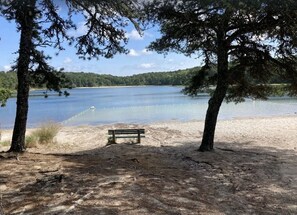 Beach nearby - Royal Retreat: 935-C  Renovated Luxury Chatham Home with Pool & Hot Tub (Chatham)