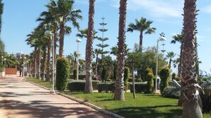 Un camino bordeado de palmeras y farolas, que conduce a un edificio de fachada color beige.