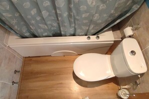 Combined shower/tub, bidet