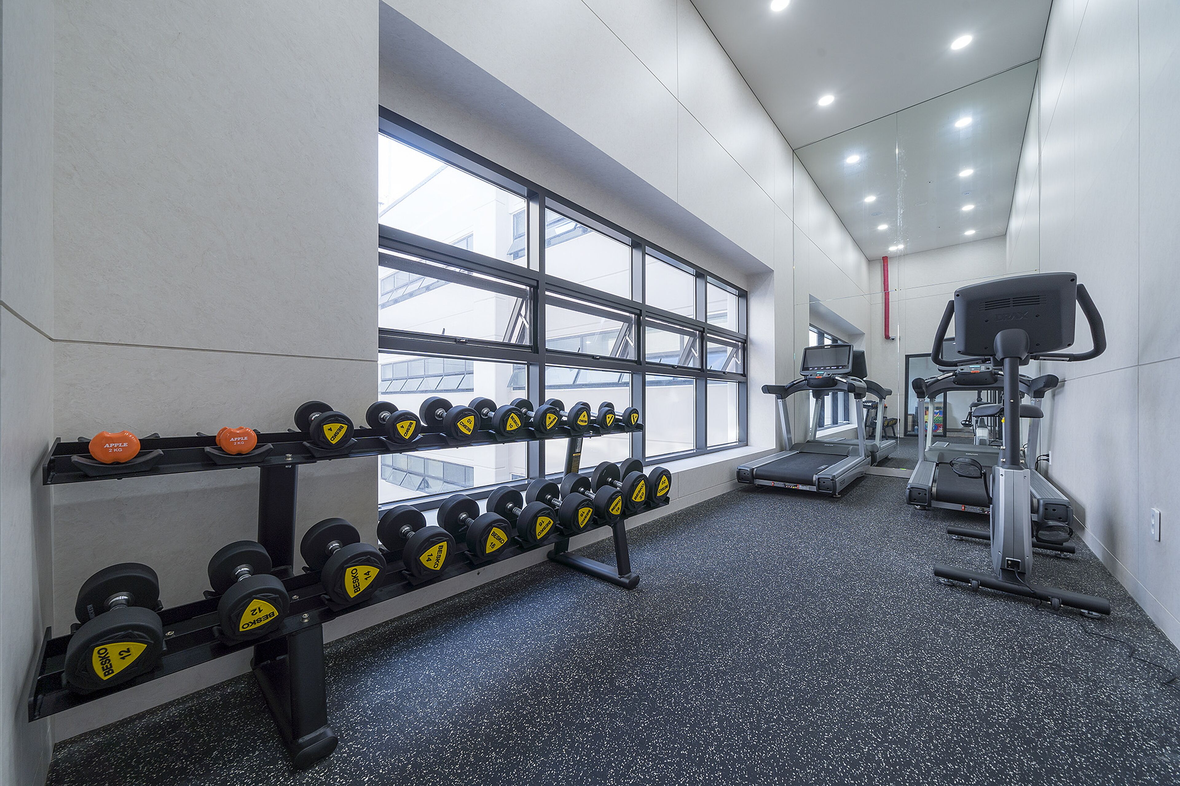 Une salle de sport équipée de tapis de course, d’haltères et d’un support à poids.