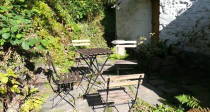 Relaxing pet friendly 2-Bed Cottage in Rhandirmwyn