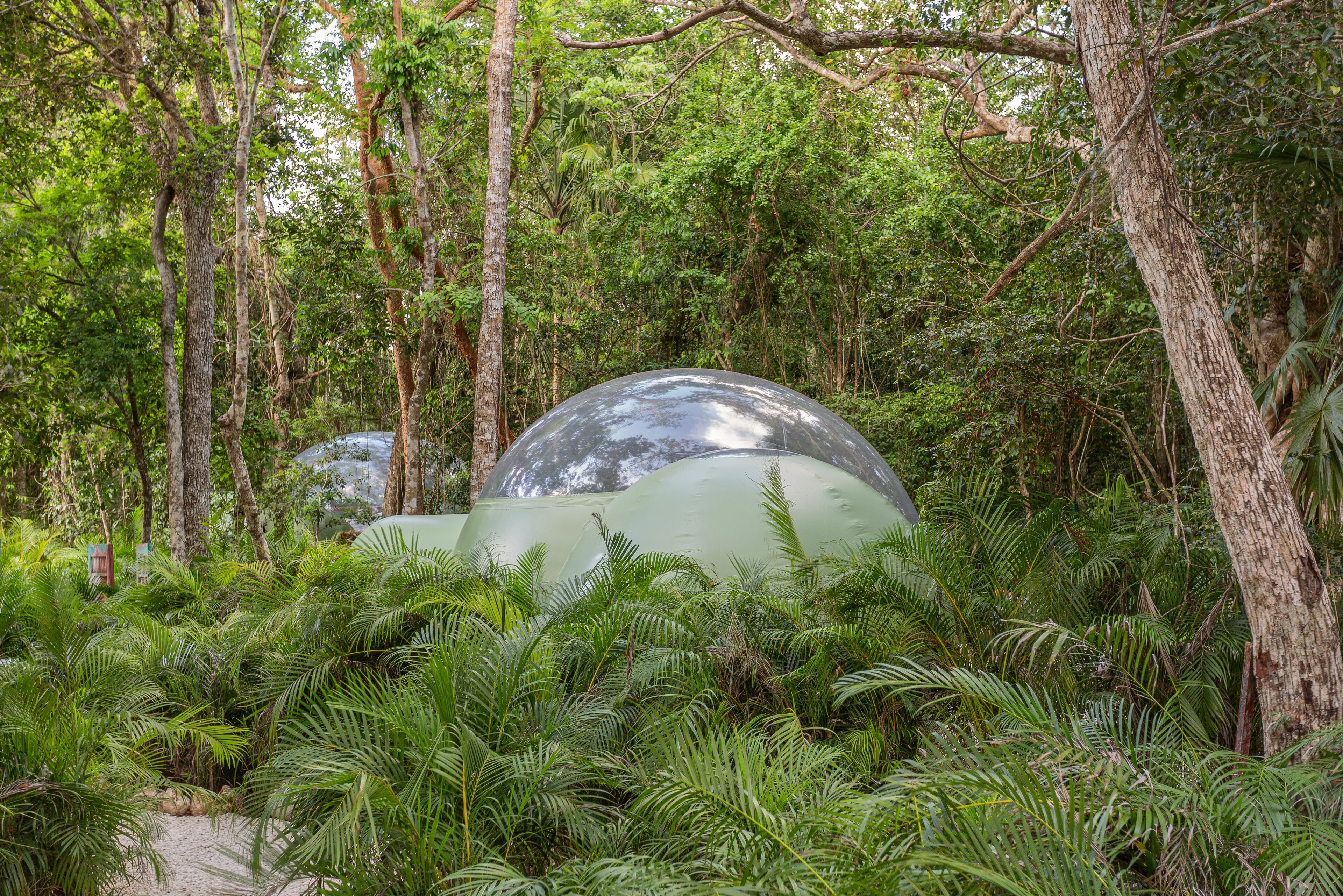 Foto - Oom Bubble Boutique Riviera Cancun - Adults Only