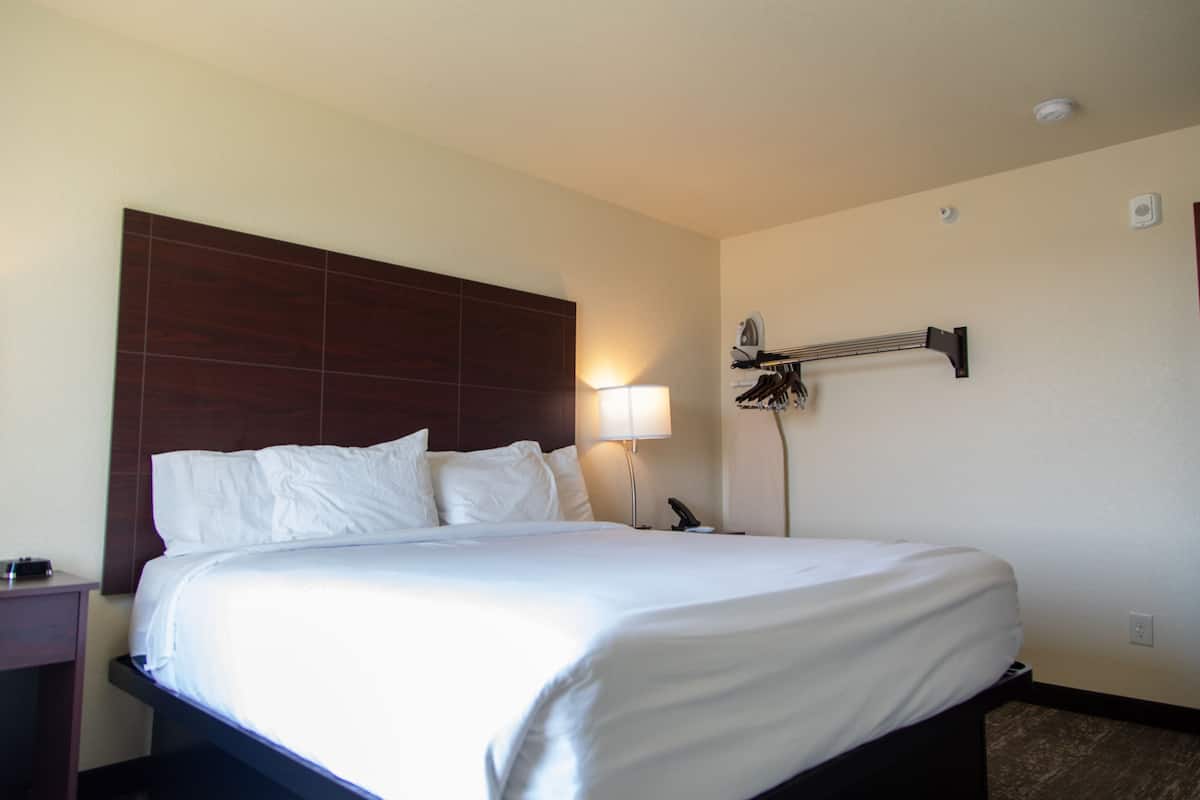 Suite, 1 King Bed with Sofa bed, Non Smoking | Down comforters, pillowtop beds, desk, laptop workspace