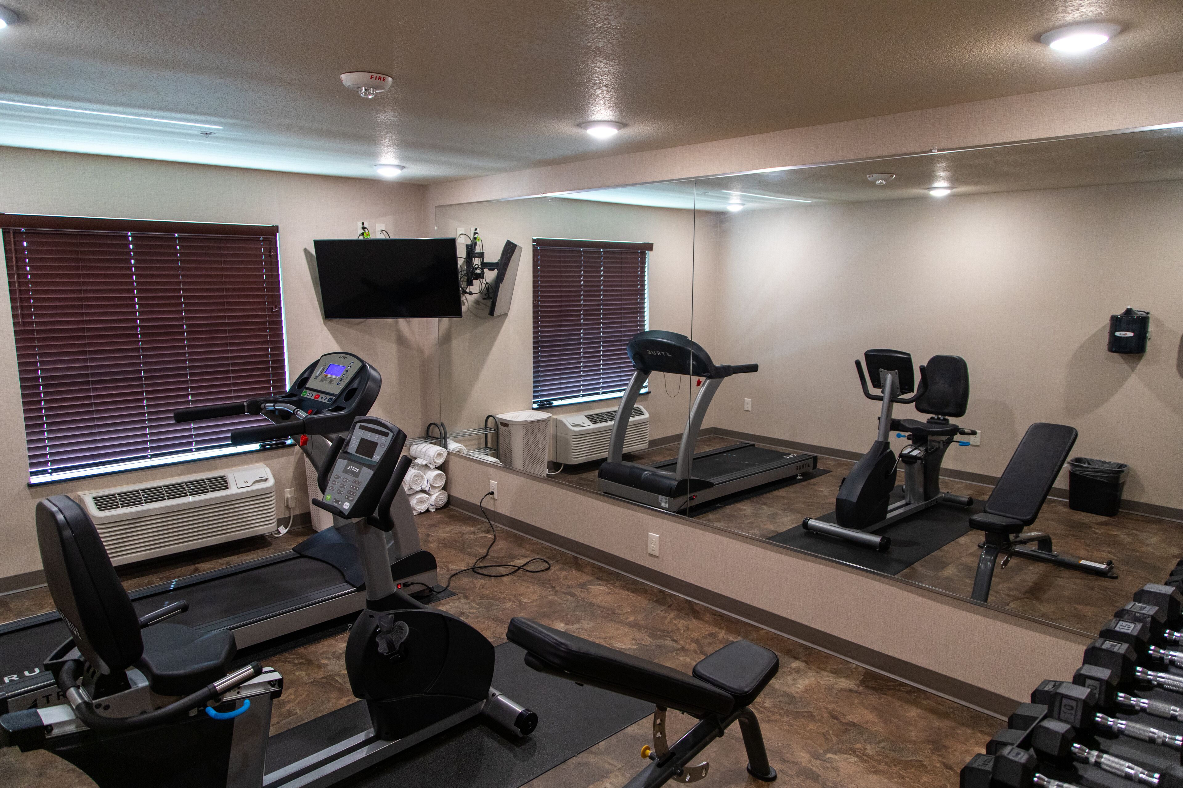 A gym with treadmills, a stationary bike, and free weights.