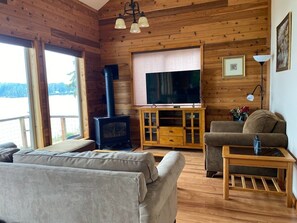 Smart TV, fireplace, books