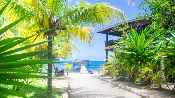 Un sentier menant à une plage, avec une structure en bois et des palmiers.
