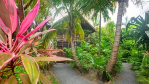 Un sentier bordé de végétation luxuriante, typique des jardins tropicaux, mène à une construction en bois surmontée d’un toit de chaume.