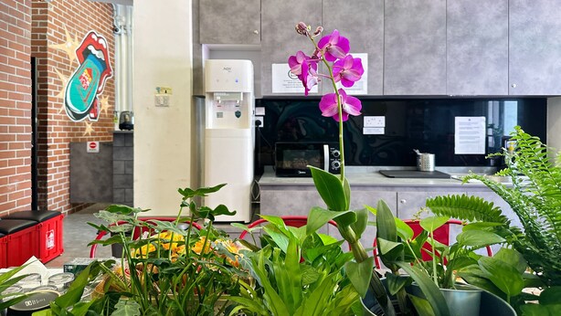 A modern kitchen with a microwave, water dispenser, and a red cart filled with fresh produce. - Rucksack Inn Temple Street (Singapore)