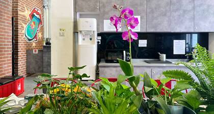 Rucksack Inn Temple Street