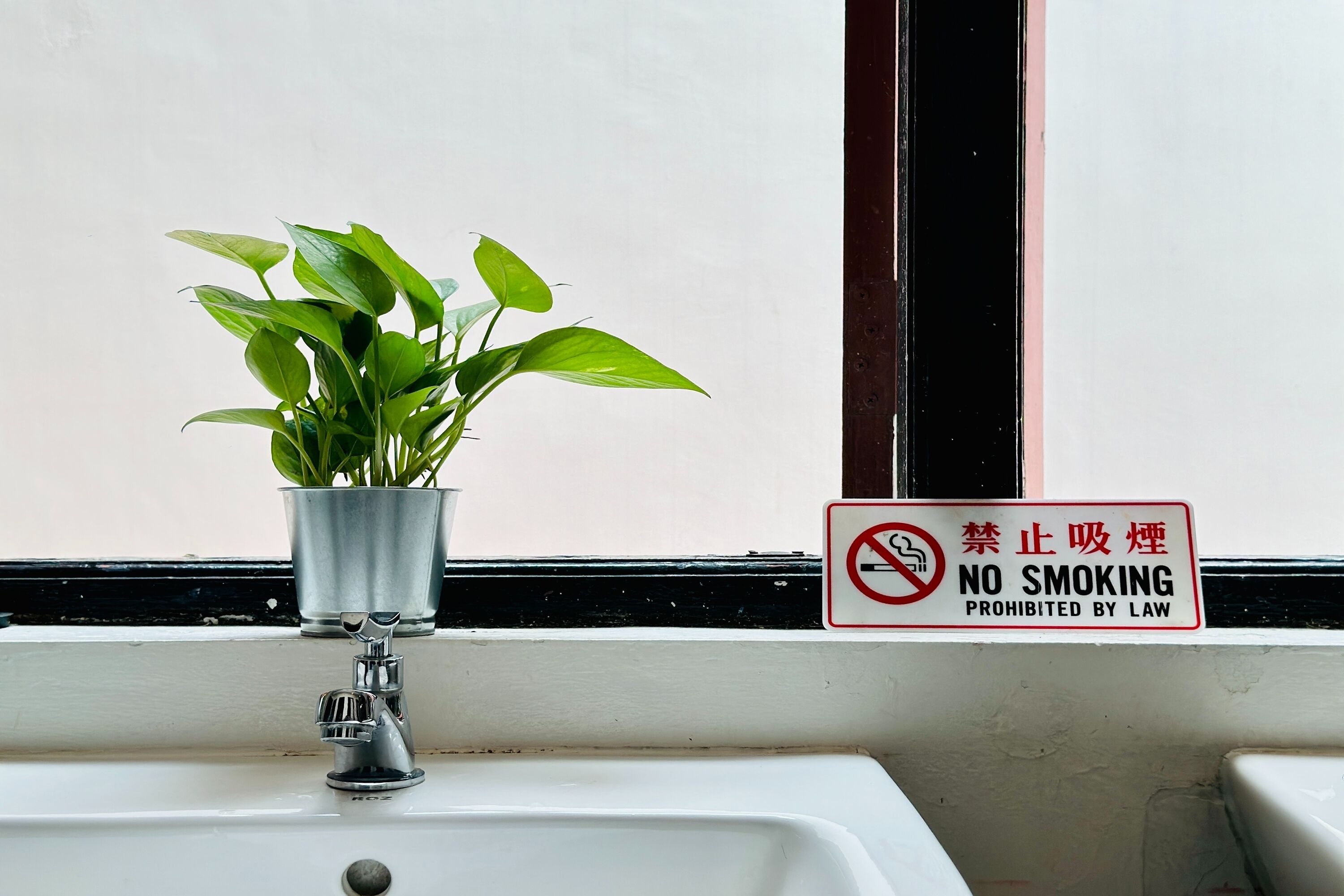 Foto - Rucksack Inn Temple Street